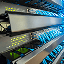 network (1)
